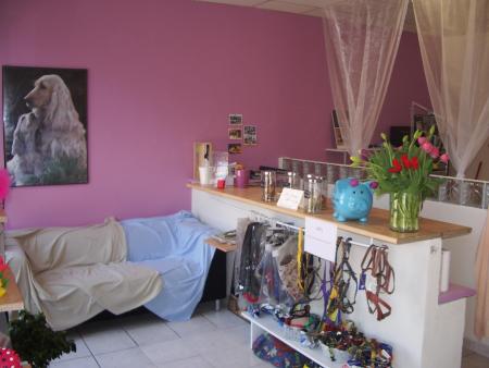 Le coin boutique et salon d'attente