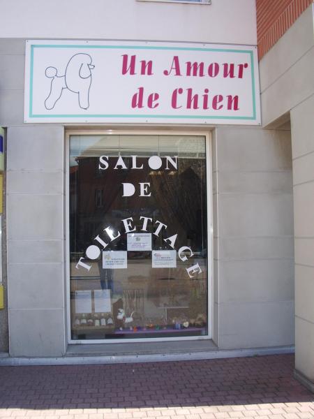 Présentation de mon salon de toilettage à Clermont ferrand