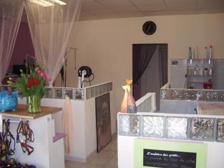 Le salon